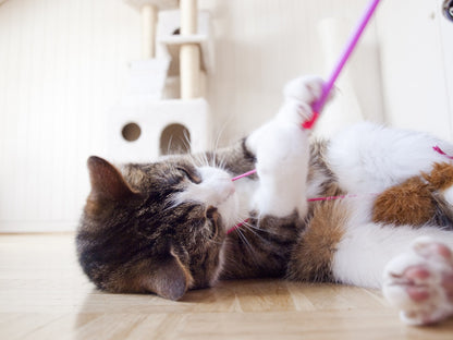 Katzenbett Candy - Superweicher Flauschiger Donut - Rosé